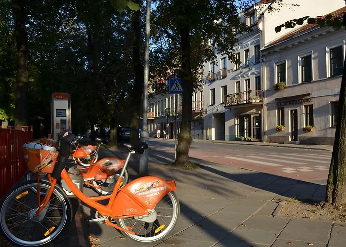 Apartament Dora Uzupis